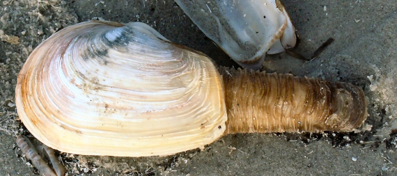 &copy; Thijs de Boer